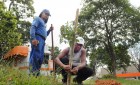 Verde passa a divulgar ações e produtividade em relatórios semestrais