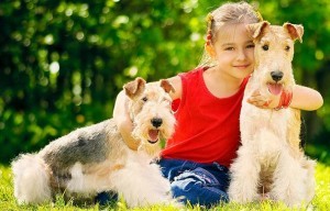 como-fazer-amizade-com-um-cachorro-desconhecido-2